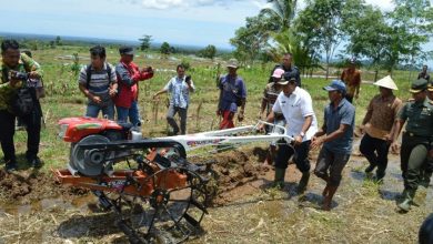 Photo of Mian: Kami akan Terus Cari Solusi Atasi Masalah Petani