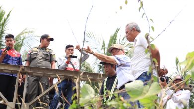 Photo of Gubernur Tinjau Pembangunan Peningkatan Jalan, Jembatan Tanjung Agung Bulan Depan Mulai Dibangun