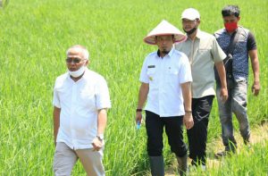 Photo of Pemkot Bengkulu Pastikan Siap Tampung Hasil Panen Petani Beras