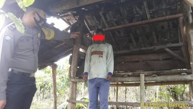 Photo of Telah Lama Gangguan Jiwa, Pria Gantung Diri di Kebun Kopi