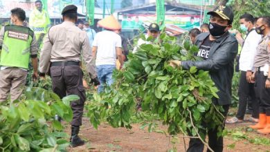 Photo of Wawali Dedy Turun Langsung Evakuasi Pohon Tumbang di Jalur Tanah Patah