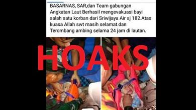 Photo of “Hoax” Video Bayi Selamat Insiden Sriwijaya Air SJ 182