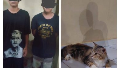Photo of Dua Pemuda Ditangkap Karena Curi Kucing Beserta Kandang